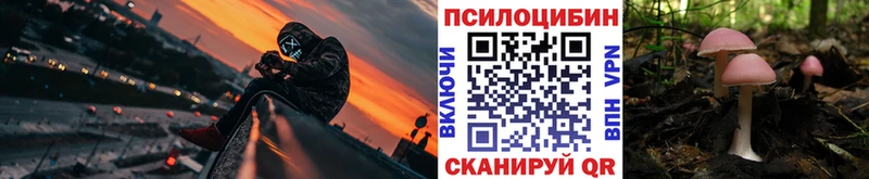 это как зайти  цена   Лукоянов  Псилоцибиновые грибы Psilocybine cubensis 